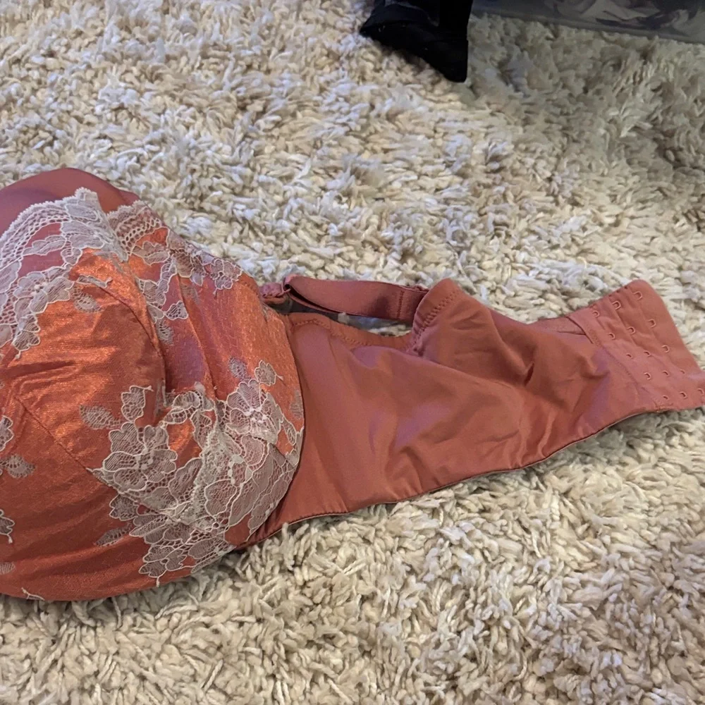 Cacique Satin Lace Bra in Rust and Cream